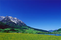 Walchsee-im-Frühling